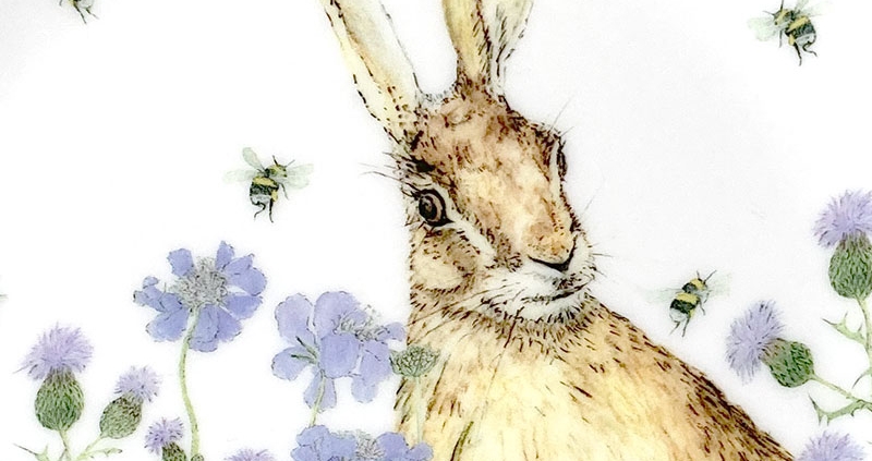 Hare and wildflower collection